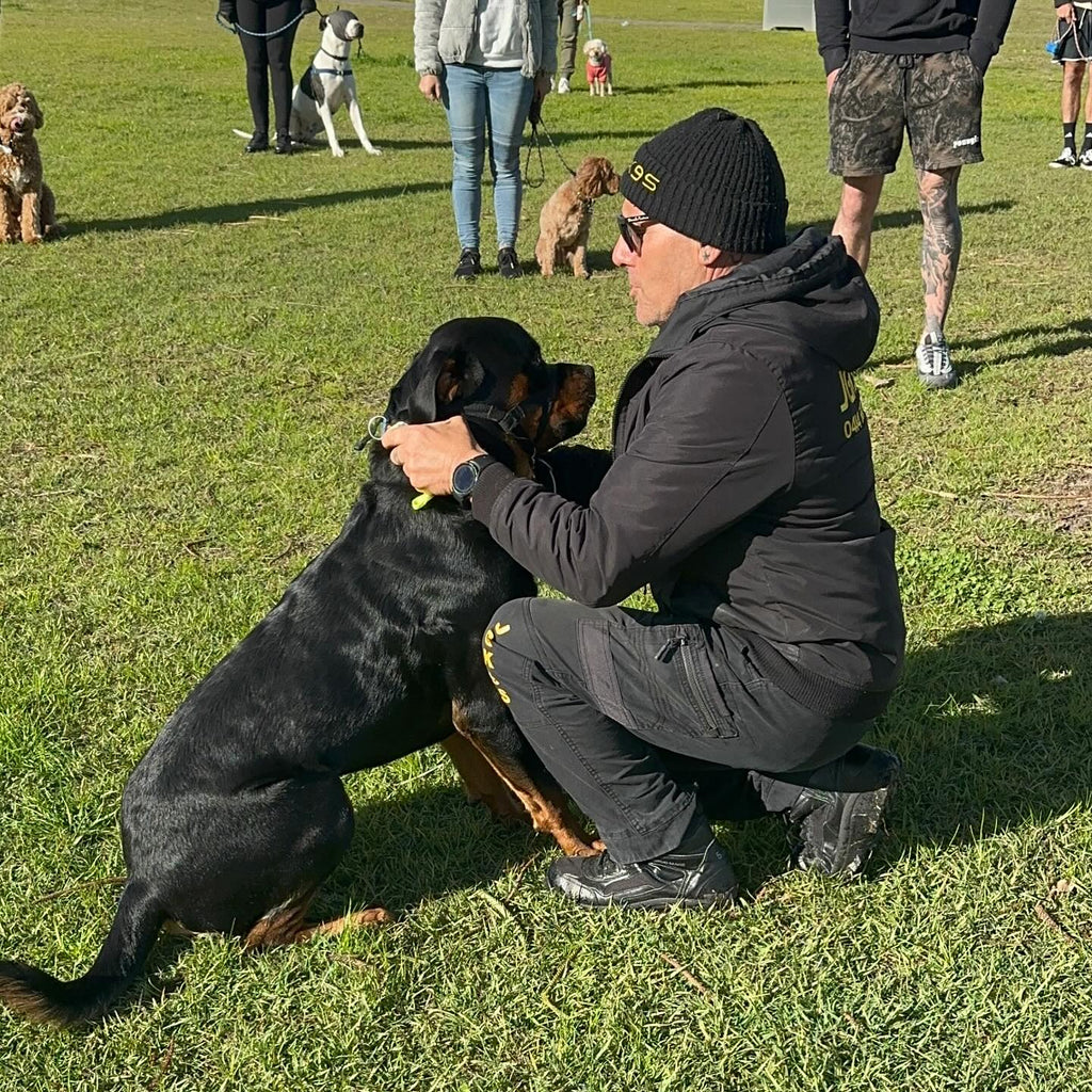 Dog Minding (Board & Training)