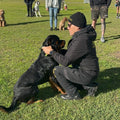 Dog Minding (Board & Training)