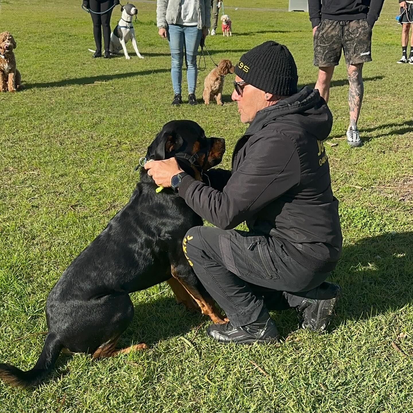 Dog Minding (Board & Training)