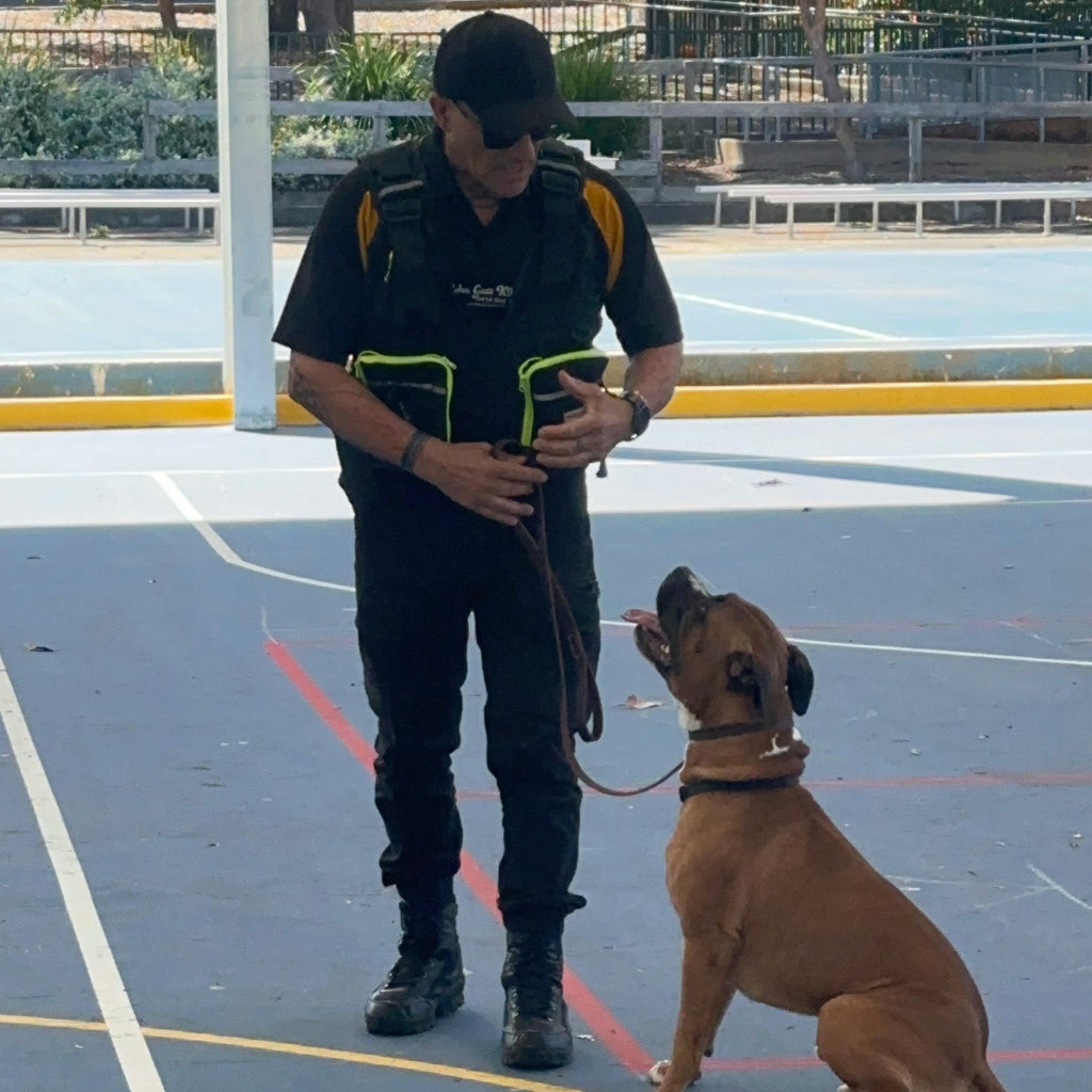 K9 Security Handlers Course