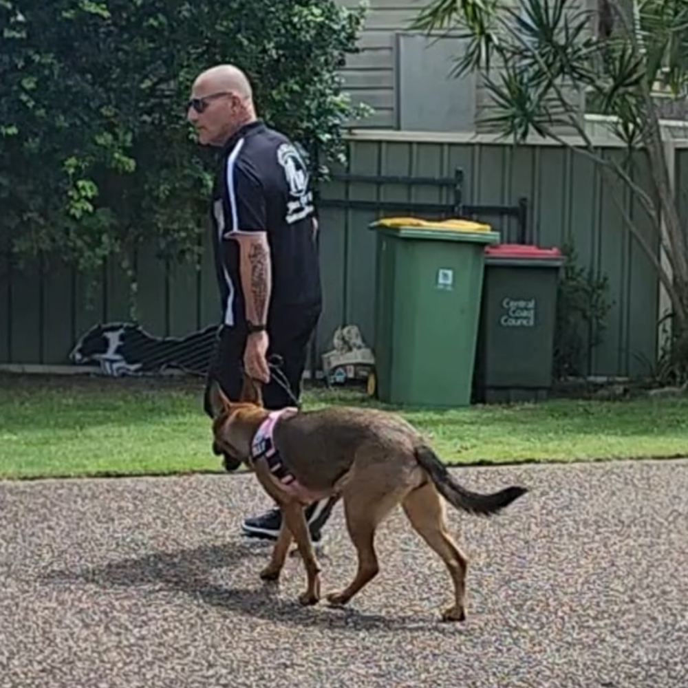 Aggression & Behaviour Training