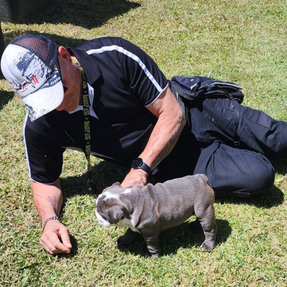 Puppy Training