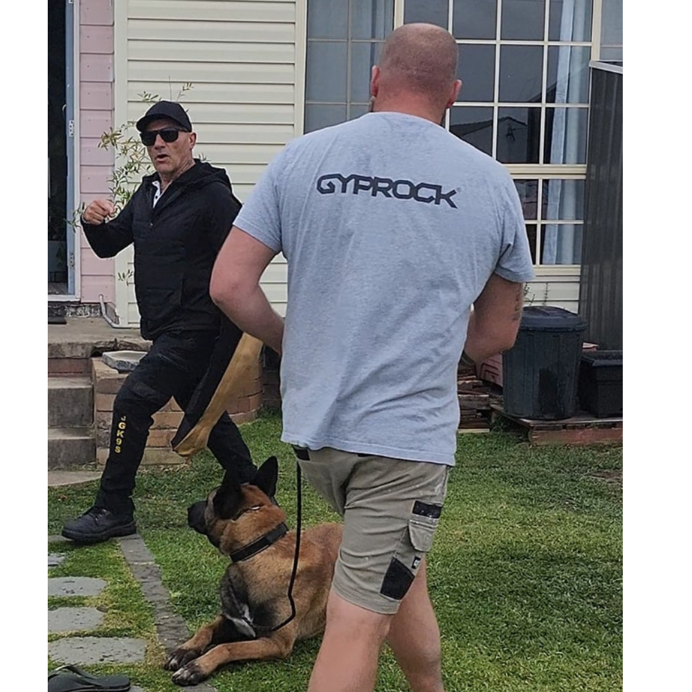 Natural K9 Behaviour Education & Owner Training