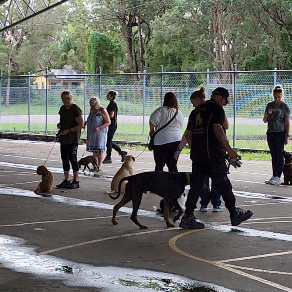 K9 Boot Camp