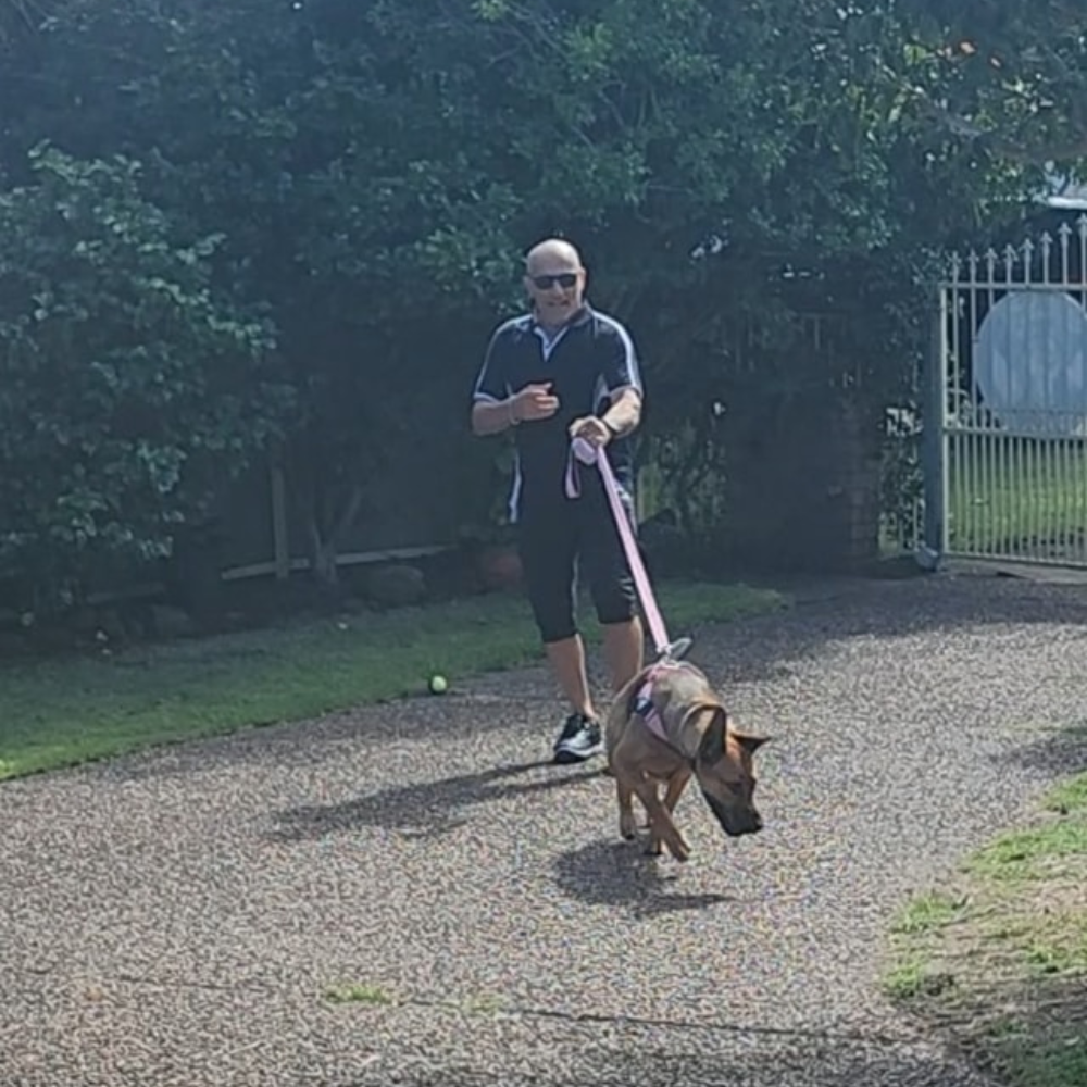 Agility & Flyball Training