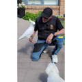 Pet Minding (All Animals)